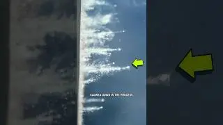 NASA Caught A Comet. Here’s How.