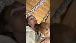 ♥️Любовь с Ловой Ловой 
