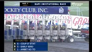 FEB 01,2020 - SAN LAZARO - RACE REVIEW and DIVIDENDS