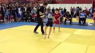 Олимпиада боевых искусств в Санкт-Петербурге 2013.