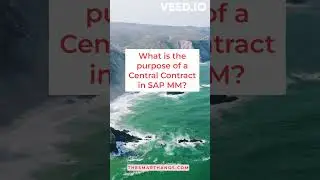 #26 What is the purpose of a Central Contract in SAP MM?