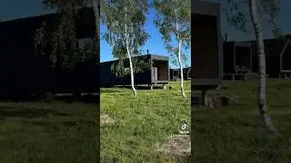 Новое Архангельское наш посёлок. #новоеархангельское