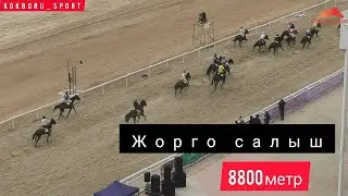 Жорго салыш/ 8800метр.