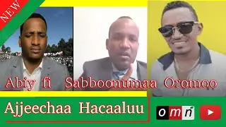 OMN: - Dr Milkeessaa Miidhagaa - Irreecha,  Ajjeechaa Hacaaluu,  Abiy fi  Sabboonumaa Oromoo