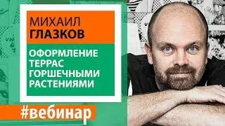 Оформление террас горшечными растениями. Анонс вебинара