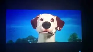 Nick Dog Backwards
