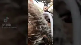 Салам Алейкоум✊️✊️✊️🦧 