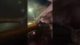 Покатушки 