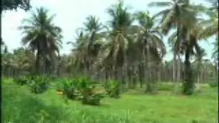 Koh Mak (Koh Maak)