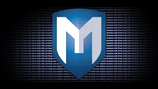 How to Install Metasploitable2 in VirtualBox 6 1