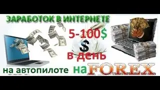 как  заработать на Форекс на  автопилоте