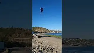 Giant Trilobite Airfoil Nylon 3-D Kite Costco