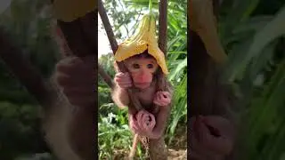 Soo cute 🥰