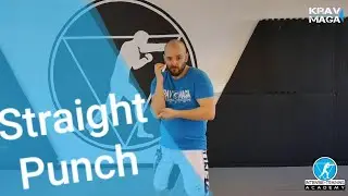 Krav Tutorial hintere Gerade / Handballenstoß / Cross