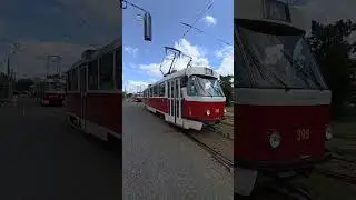Много трамваев #kharkiv #transport #tram