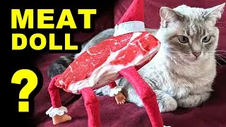 meat + four legs