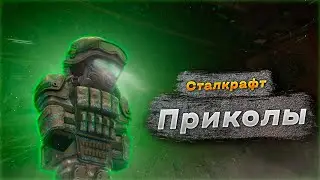 STALCRAFT - Приколы | Нашёл особ. светляк | Итоги розыгрыша | +Розыгрыш на 500к