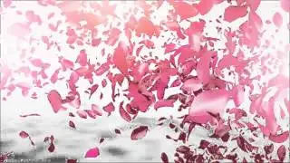 Petals Logo Reveal | VideoHive Templates | After Effects Project Files