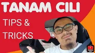 Tips #Tanam Pokok #Cili Gemok | Baja yang betul | Autosiram Air Baja