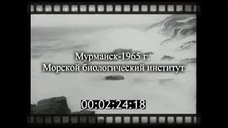 Мурманск-1965 г. Морской биологический институт