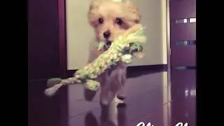 Coco from Instagram / 20180119