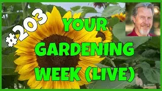 Learning from Other Gardeners (Q&A)