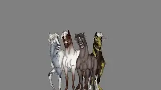 [ The unstoppable herd stallions ]