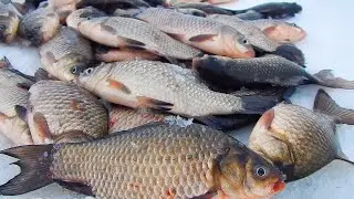ПОДГЛЯДЕЛ СЕКРЕТ У МЕСТНЫХ И ЗА ПОЛ ДНЯ КУЧА КАРАСЯ!