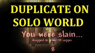 Terraria Duplication Glitch In Solo World - ANY ITEM