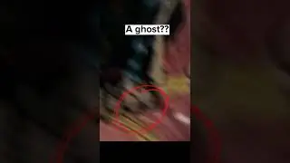 Scary things hidden in normal photos Part#38 