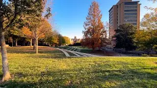 Papier Stationery Advent Calendar - Day 2 - Vlogging on Campus!