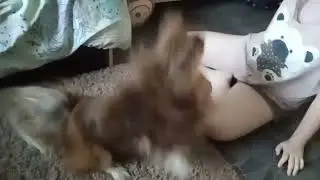 О ужас 😱я тронула его игрушку...