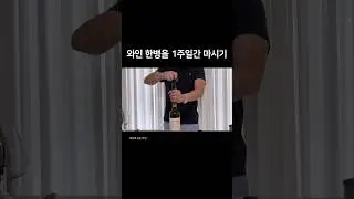 와인병 산소를 빼내는 방법 #와인스토퍼 #와인보존시스템 #와인마개 #와인 #와인용품
