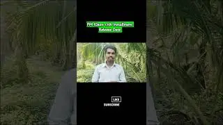 PM Kisan 17th Installment Release Date 2024 - PM Kisan Samman Nidhi