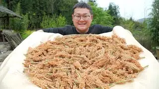 How is the pine pollen worth more than 100 yuan made? Pick it up and go back and try (Part 1)