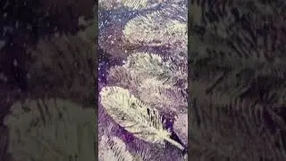 #леонардосургут