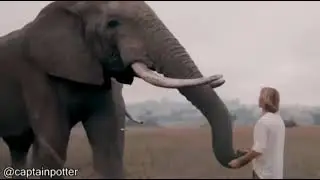 Daily Dose Of Internet | 25 MINUTES SPECIAL