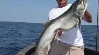 Lake Superior Lake Trout