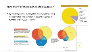 Genomes, Part II