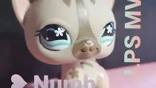 ❥Numb \\ LPS MV