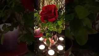 КАК ПРИЗВАТЬ ЛЮБОВЬ