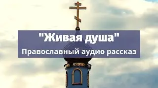 Православный рассказ «Живая душа»