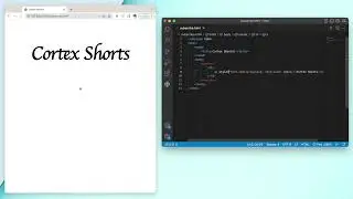 Basic Html Coding Speed Run