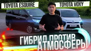 ЛУЧШИЕ МИНИВЭНЫ ДО 2 🍋 TOYOTA VOXY 2.0💥ESQUIRE HYBRID🔋