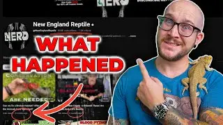 What ACTUALLY Happened to NERD?