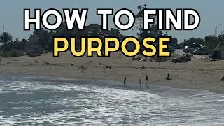 How to find PURPOSE 🌬️