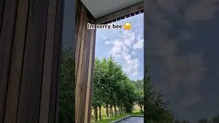 a bee swarm attacked my #drone #fpv #dronevideo