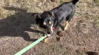 Video - 14 Part 3