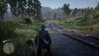 RDR2 Logic!