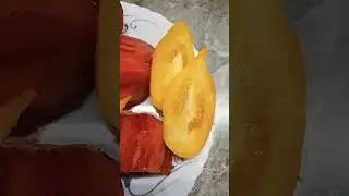 Как вкусно будет 😋🍅🤗 #ужин #помидоры #семья #вечер #отдых #оттатьяныслюбовью #огород